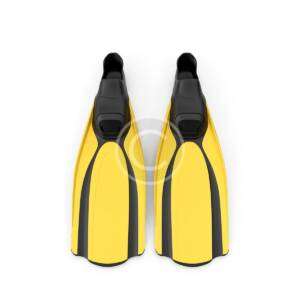 Diving Fins